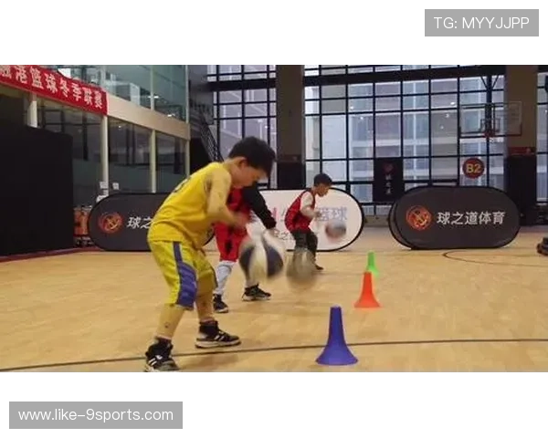 篮球联赛青训体系引入长期跟踪评估机制提升培养质量，简述青少年篮球培训的三要素